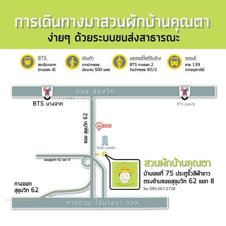 รายการ 96+ ภาพพื้นหลัง สวน ผัก บ้าน คุณ ตา สุขุมวิท 62 สวยมาก